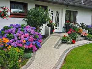 Ferienwohnung für 4 Personen (75 m²) in Hattstedt