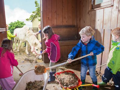 Mitarbeit im Stall