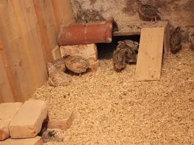 Ferienwohnung für 4 Personen in Haunsheim 1/8