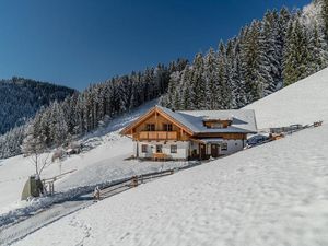 22358489-Ferienwohnung-4-Haus (Steiermark)-300x225-4