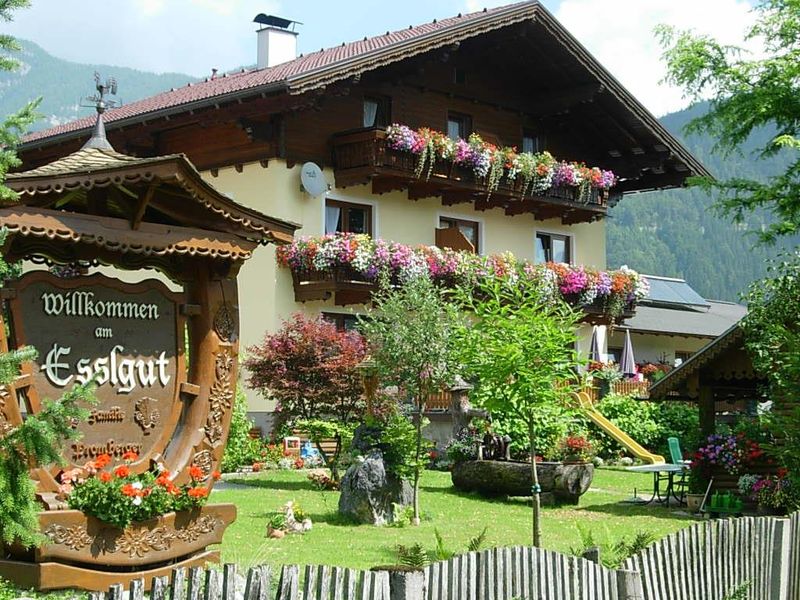 22358593-Ferienwohnung-6-Haus (Steiermark)-800x600-1