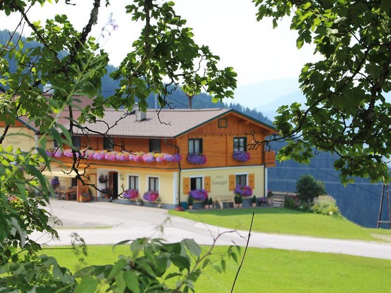 22358873-Ferienwohnung-3-Haus (Steiermark)-800x600-2