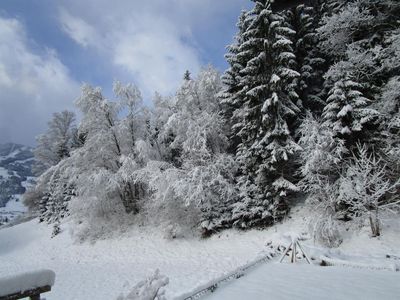 App. Stiegler - Winterlandschaft