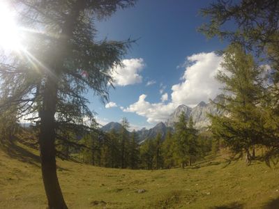 Wanderung im Sommer