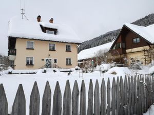 22359507-Ferienwohnung-4-Haus (Steiermark)-300x225-5