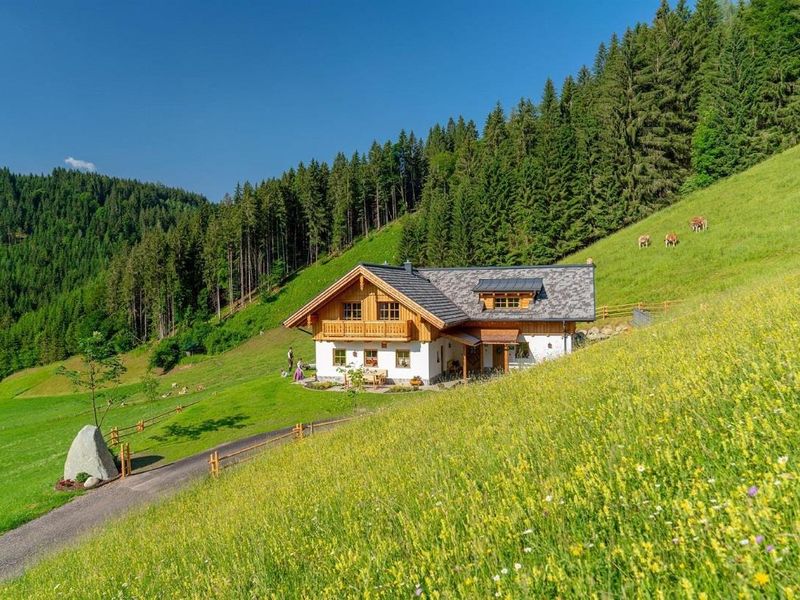 22358491-Ferienwohnung-6-Haus (Steiermark)-800x600-0