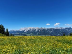 23971827-Ferienwohnung-3-Haus (Steiermark)-300x225-5