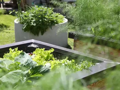 Ferienwohnung für 4 Personen (42 m²) in Haus (Steiermark) 9/10