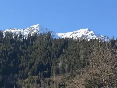 Ferienwohnung für 5 Personen (45 m²) in Haus (Steiermark) 3/10