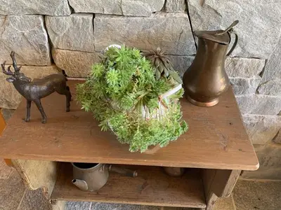 Ferienwohnung für 5 Personen (45 m²) in Haus (Steiermark) 10/10