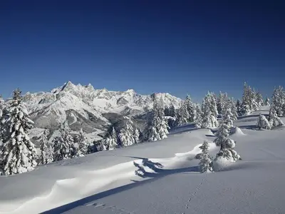 Ferienwohnung für 6 Personen (83 m²) in Haus (Steiermark) 7/10