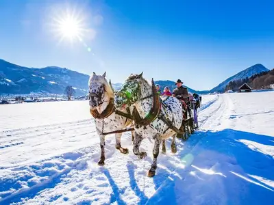 Ferienwohnung für 5 Personen (65 m²) in Haus (Steiermark) 8/10