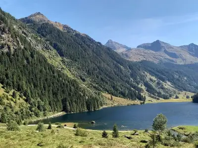Ferienwohnung für 5 Personen (65 m²) in Haus (Steiermark) 10/10