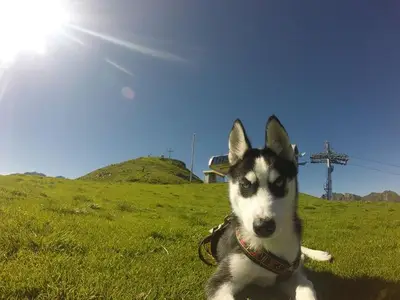 Ferienwohnung für 3 Personen (50 m²) in Haus (Steiermark) 6/10