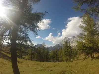 Ferienwohnung für 3 Personen (50 m²) in Haus (Steiermark) 7/10