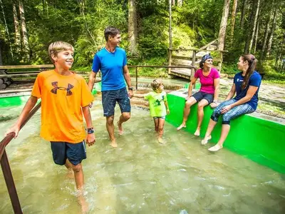 Ferienwohnung für 4 Personen in Haus (Steiermark) 8/10