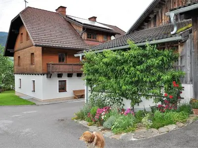 Ferienwohnung für 5 Personen (50 m²) in Haus (Steiermark) 3/10