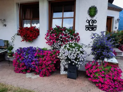 Ferienwohnung für 5 Personen (60 m²) in Haus (Steiermark) 4/10