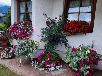 Ferienwohnung für 5 Personen (60 m²) in Haus (Steiermark) 6/10