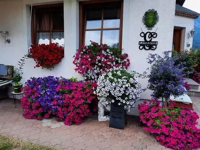 Ferienwohnung für 5 Personen (60 m²) in Haus (Steiermark) 10/10
