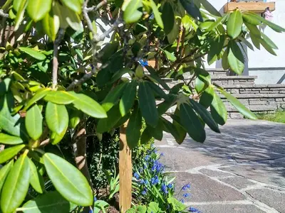 Ferienwohnung für 5 Personen (54 m²) in Haus (Steiermark) 8/10