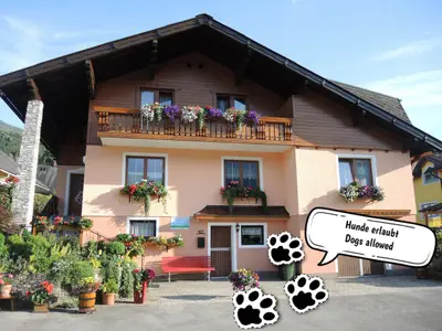 Urlaub mit Hund