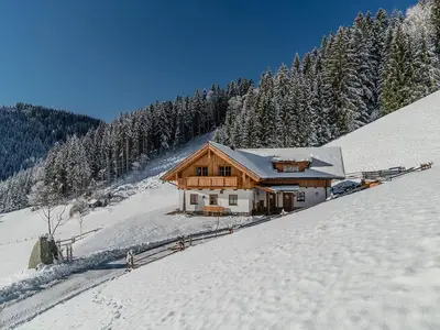 Winteraufnahme - Almchalet Linharterhof