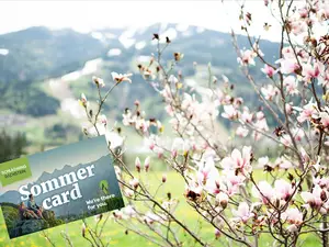 Ferienwohnung für 6 Personen (135 m²) in Haus (Steiermark)