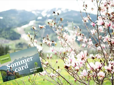 Gaestehaus-Erika-Gartenlodge-Hauser-Kaibling-myNes