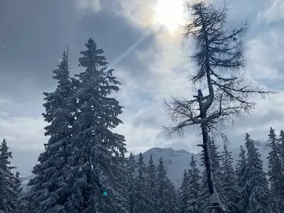 Ferienwohnung für 4 Personen (57 m²) in Haus (Steiermark) 5/10