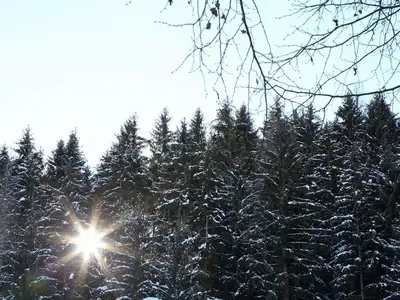 Ferienwohnung für 4 Personen (40 m²) in Haus (Steiermark) 9/10