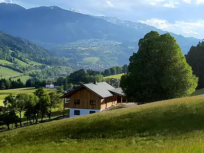 Sommer Naturchalet Forster