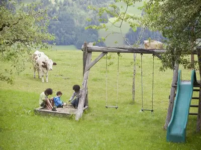 Ferienwohnung für 5 Personen (55 m²) in Haus (Steiermark) 5/10
