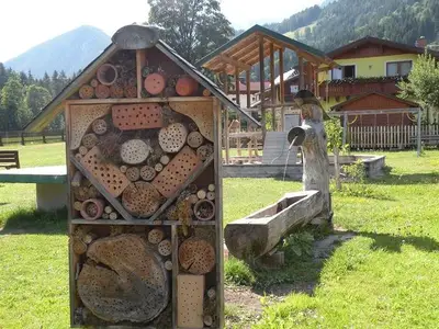 Ferienwohnung für 4 Personen (50 m²) in Haus (Steiermark) 5/10