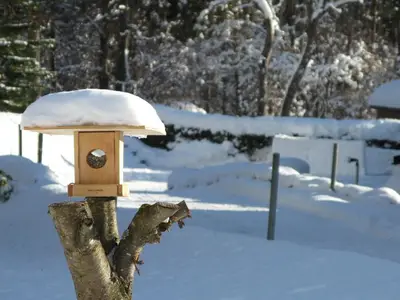 Ferienwohnung für 4 Personen (50 m²) in Haus (Steiermark) 9/10
