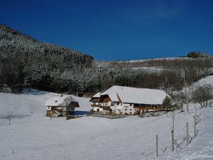 19361976-Ferienwohnung-5-Hausach-300x225-5