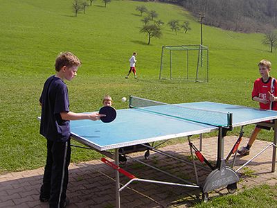 Ferienwohnung für 5 Personen (55 m²) in Hausach 5/10