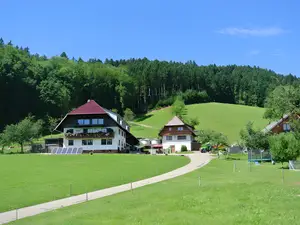 Ferienwohnung für 4 Personen (60 m²) in Hausach