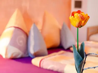 ramsteinerhof-hausach-kinzigtal-schwarzwald-117