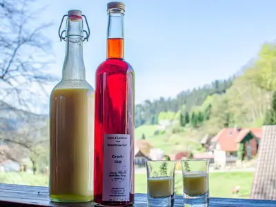 ramsteinerhof-hausach-kinzigtal-schwarzwald-159