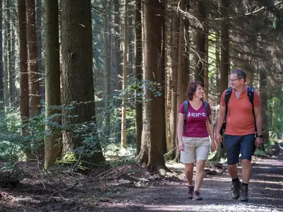 WanderWunderWiedtal