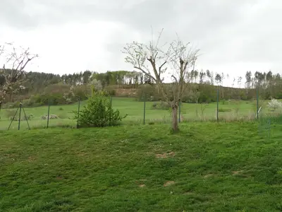 Ausblick in Garten