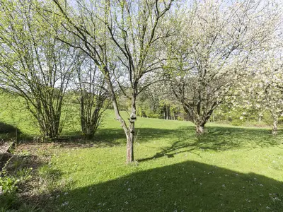 Fewo Marienhof - Garten