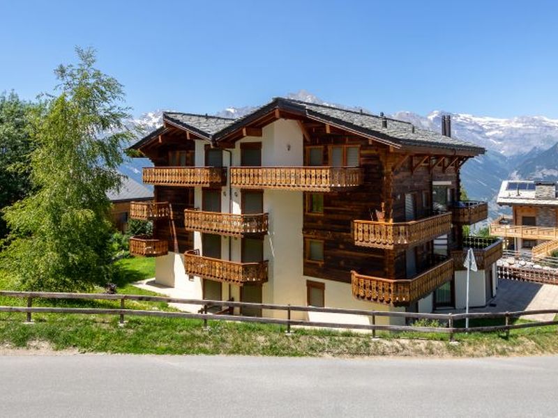 22485377-Ferienwohnung-8-Haute-Nendaz-800x600-2