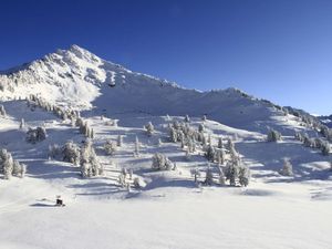 Ferienwohnung für 6 Personen (41 m&sup2;) in Haute-Nendaz