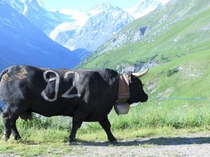 23492043-Ferienwohnung-6-Haute-Nendaz-300x225-3