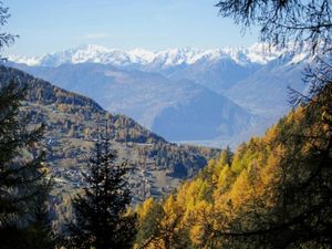 23492050-Ferienwohnung-6-Haute-Nendaz-300x225-5