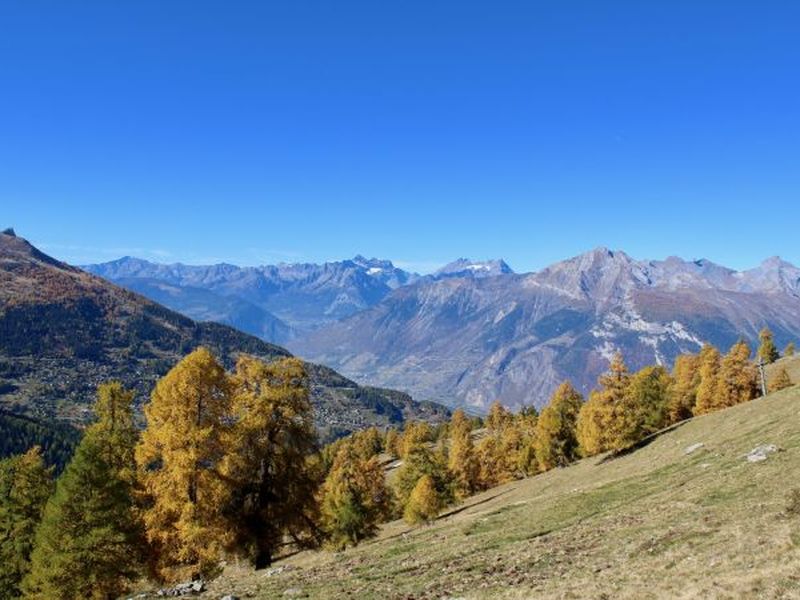 23492066-Ferienwohnung-8-Haute-Nendaz-800x600-2