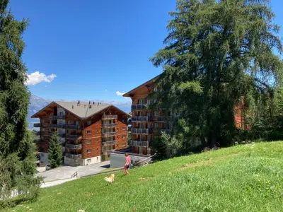 Ferienwohnung für 5 Personen (38 m²) in Haute-Nendaz 2/10