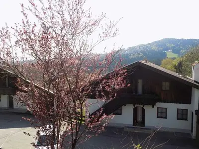 Ferienwohnung für 4 Personen (54 m²) in Hauzenberg 10/10